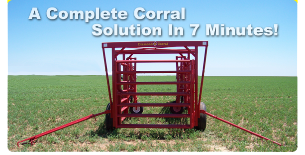 Diamond W Corrals Sorting Cattle the Easy Way
